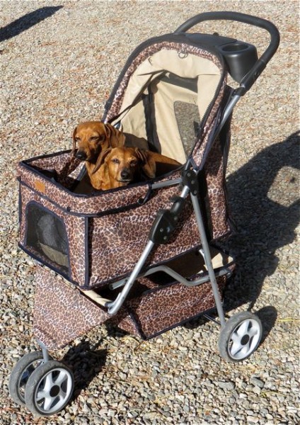 This is close up of the dog stroller I had ordered for 