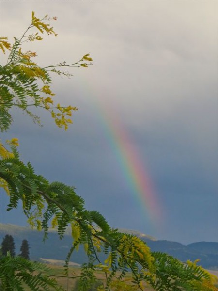 The rainbow after the storm last Saturday when she jumped out of the stroller.