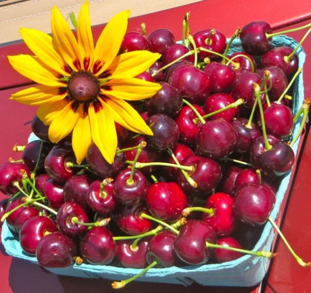 My first cherries of the season from Frank's Orchard.  Could not find my usual orchard and stopped here.  A bit more than I am used to paying for @ $2.00 per pound.