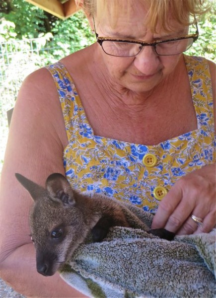 This is an educational experience where young and old learn about these creatures.  