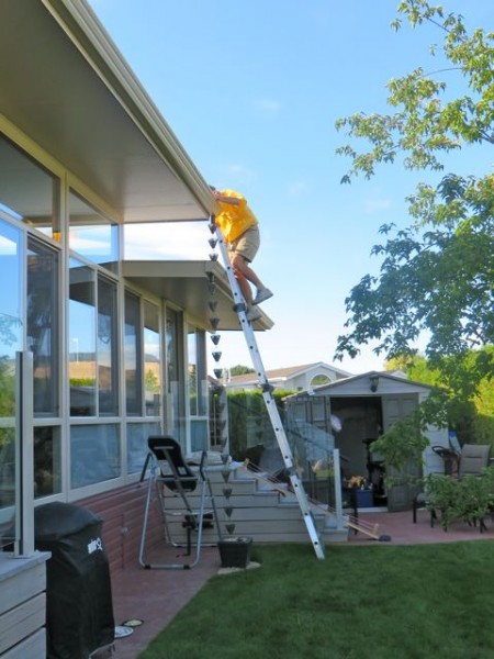 I was so glad when he came down off the roof.  It wouldn't have been so bad but the wind was gusting to 45 KM"H