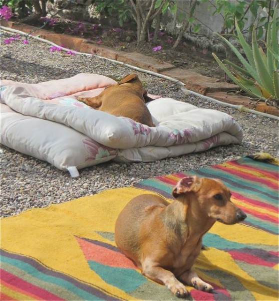 They are just enjoying the sun and the breeze and of course the beach.