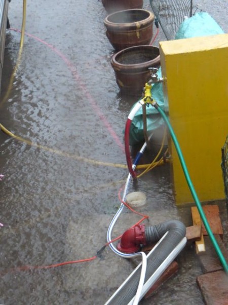 The kept falling and soon all of cord were underwater including our electrical cord.  Not long after I took this photo the sewer was totally under water and we began to wonder if the sewer would overflow.