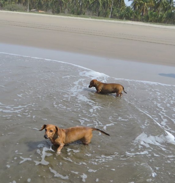 The girls are going to miss their daily beach time.