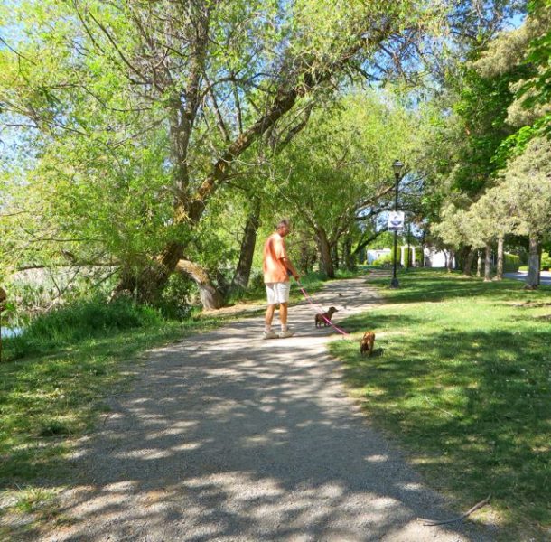 After each vein injection ( this was the fourth out of six ) I have to go for a 30 minute walk. This park is just a block form the medical office. As you can see we brought the girls with us today and they thoroughly enjoyed the walk.