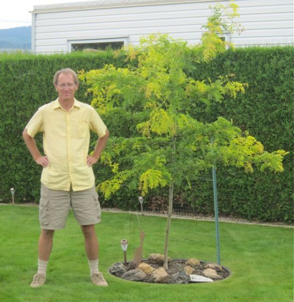 One year later on July 22 2012 the tree has grown. I was happy we had planted it the year prior as we now knew we would be moving to this site as our home across the road had sold.