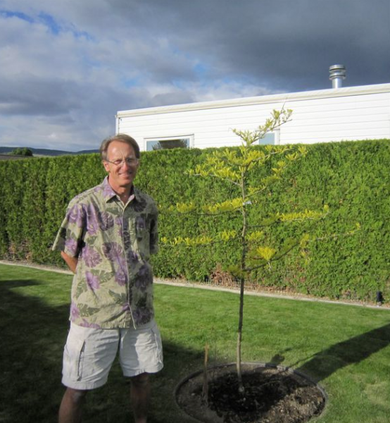 Back in 2011 I surprised Colin with a tree for his birthday. We were not even living here yet, just the RV.