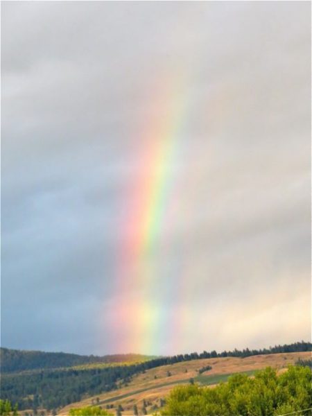 Love the rainbow. I just wish I could see the Nothern lights that are so prominent at this time of year but not in this area.