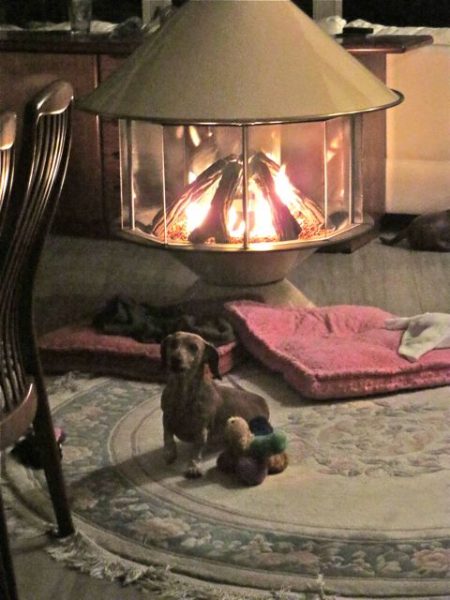 The rest of the time she hung out close to the fire to stay warm.